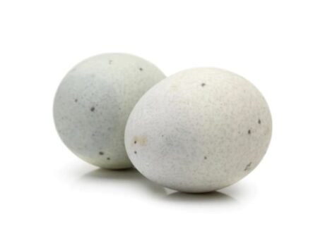 Duck Eggs x 6 Units